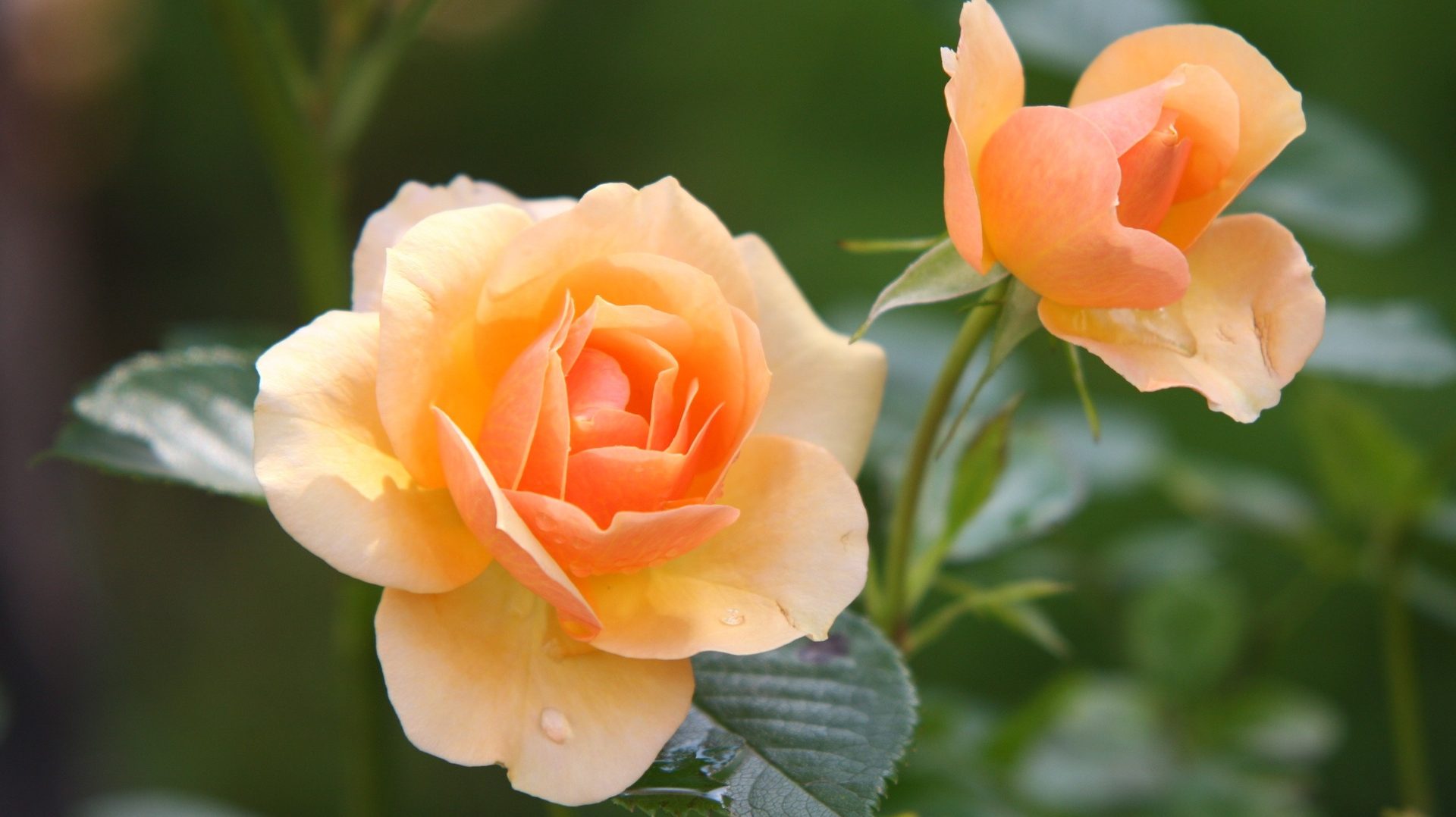 Digital Photography Tips and Tricks Part 2 - Digital Landscape Photography 2