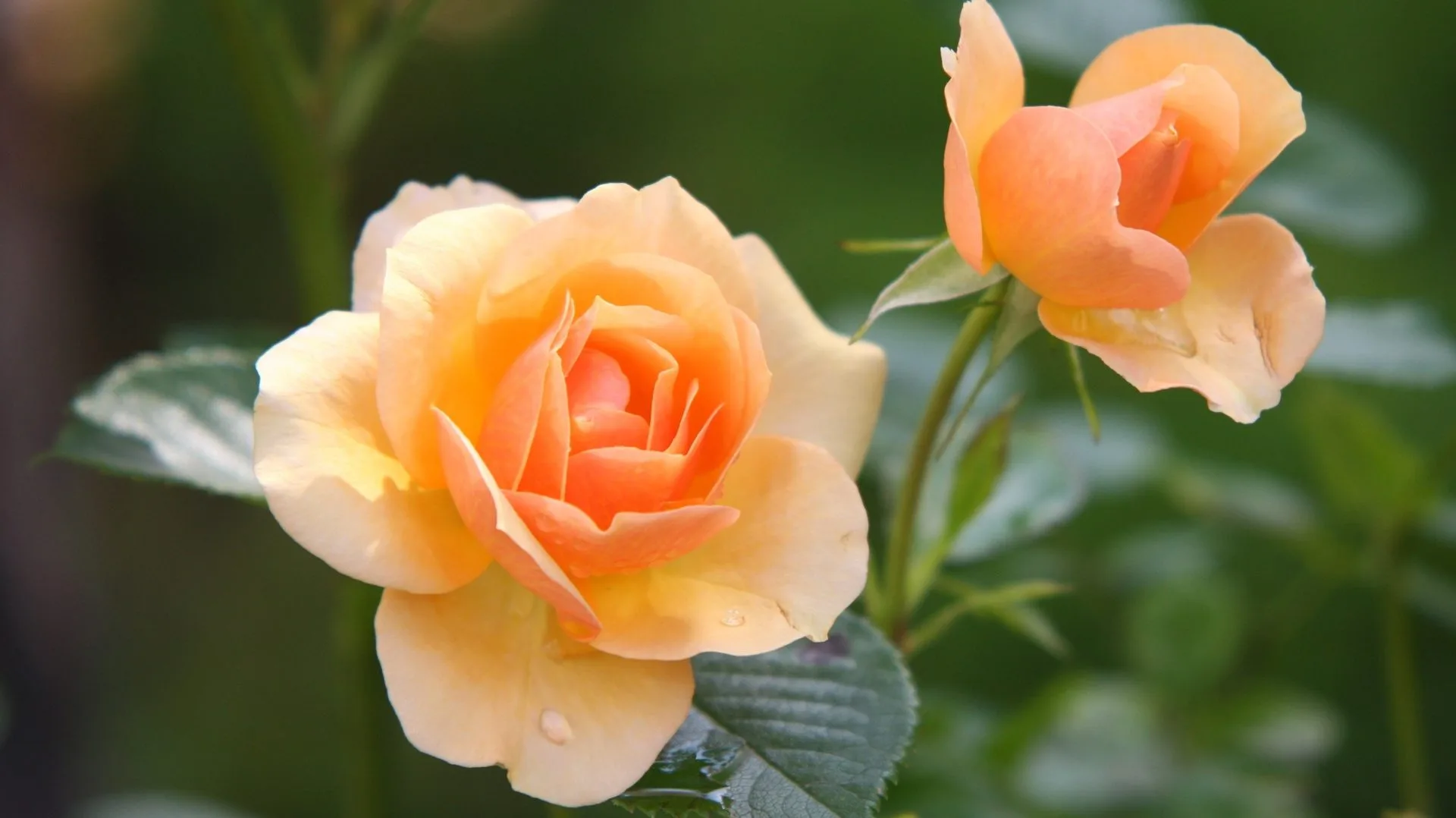 Digital Photography Tips and Tricks Part 2 - Digital Landscape Photography 1