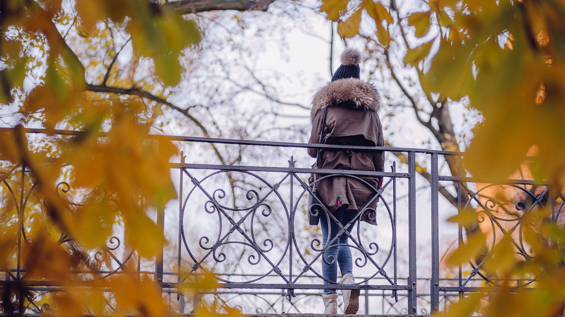 Caught in the Camera Eye 1