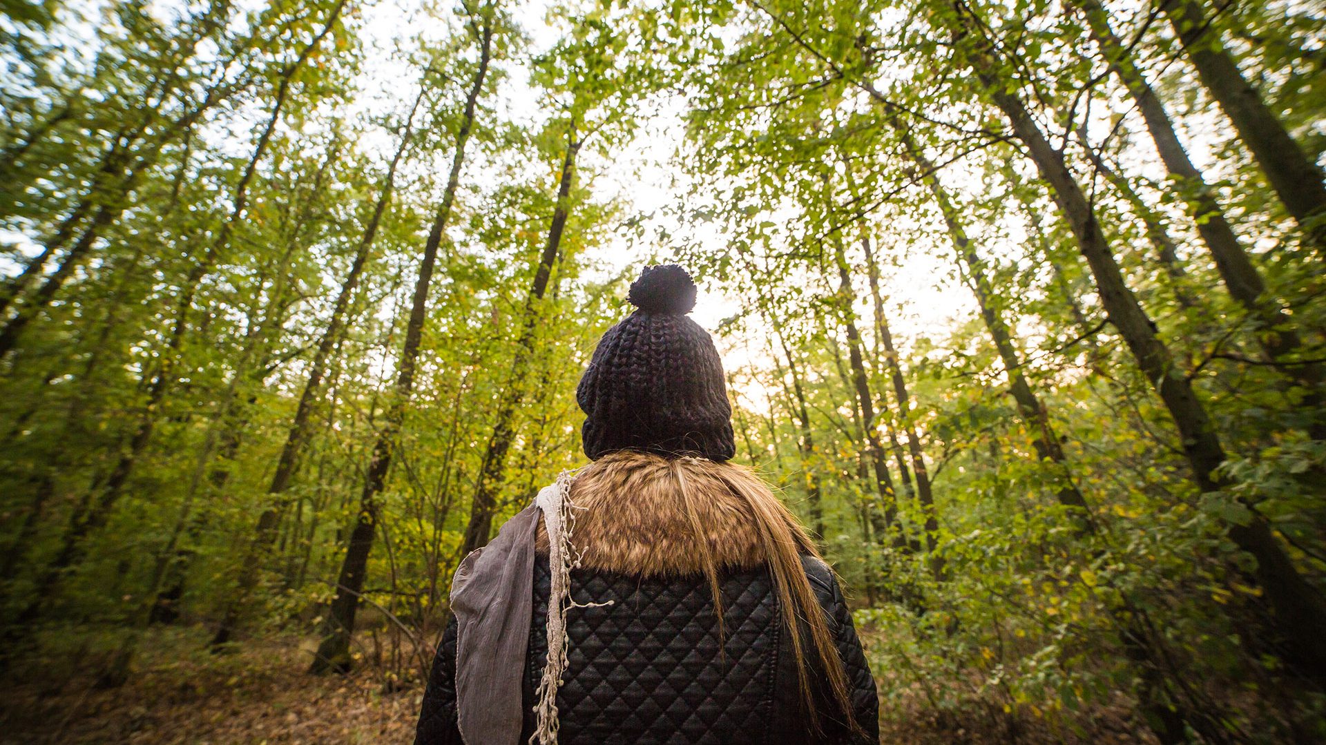 Learn Digital Photography - Top Ten Composition Tips 2019 1