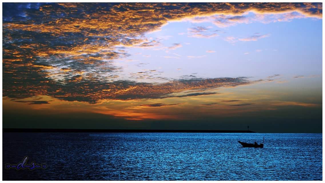 The Photography Background - Immediately Create Better Photos! 2019 4